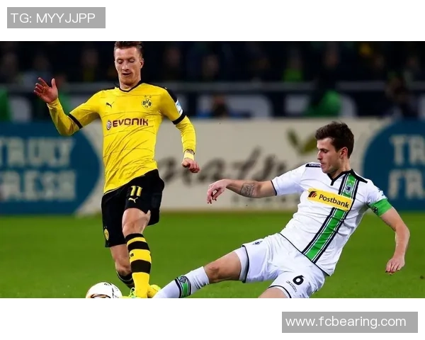 德甲精彩对决多特蒙德逆转本菲卡乌龙球成比赛转折点集锦回顾